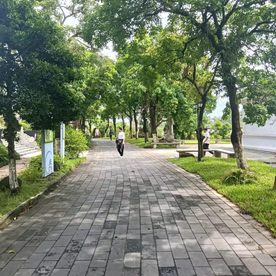 🐝那都有李🍀