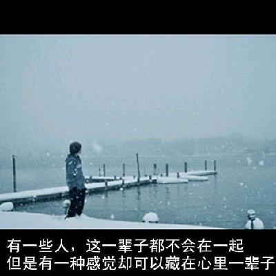 落红尘.