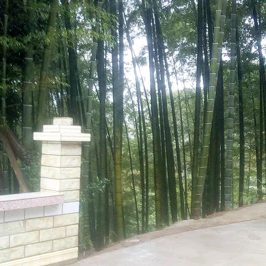 人生靠自已