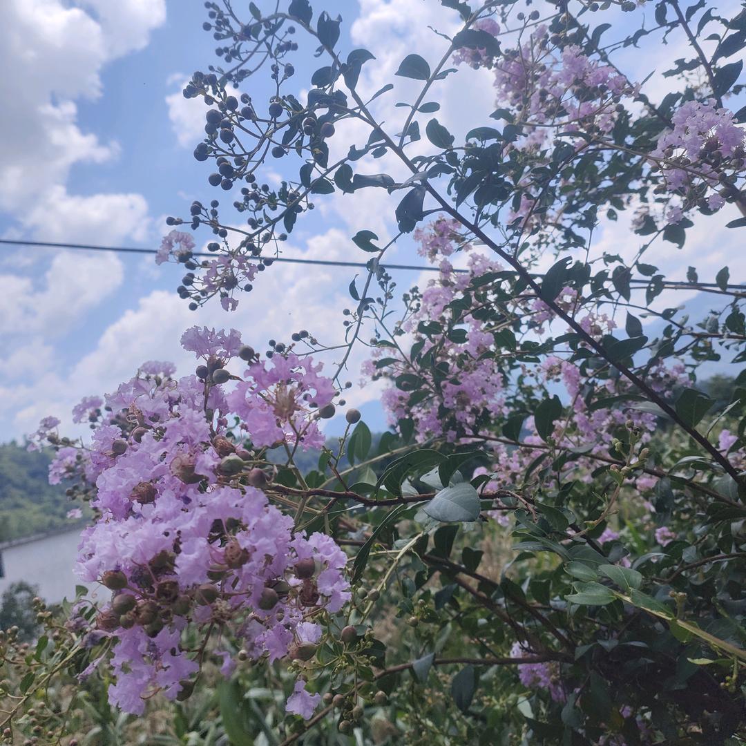 : 💕ꦿ҉好ᨶ႒ᩚ运ᥫᩣ໌້ᮨ加🈵