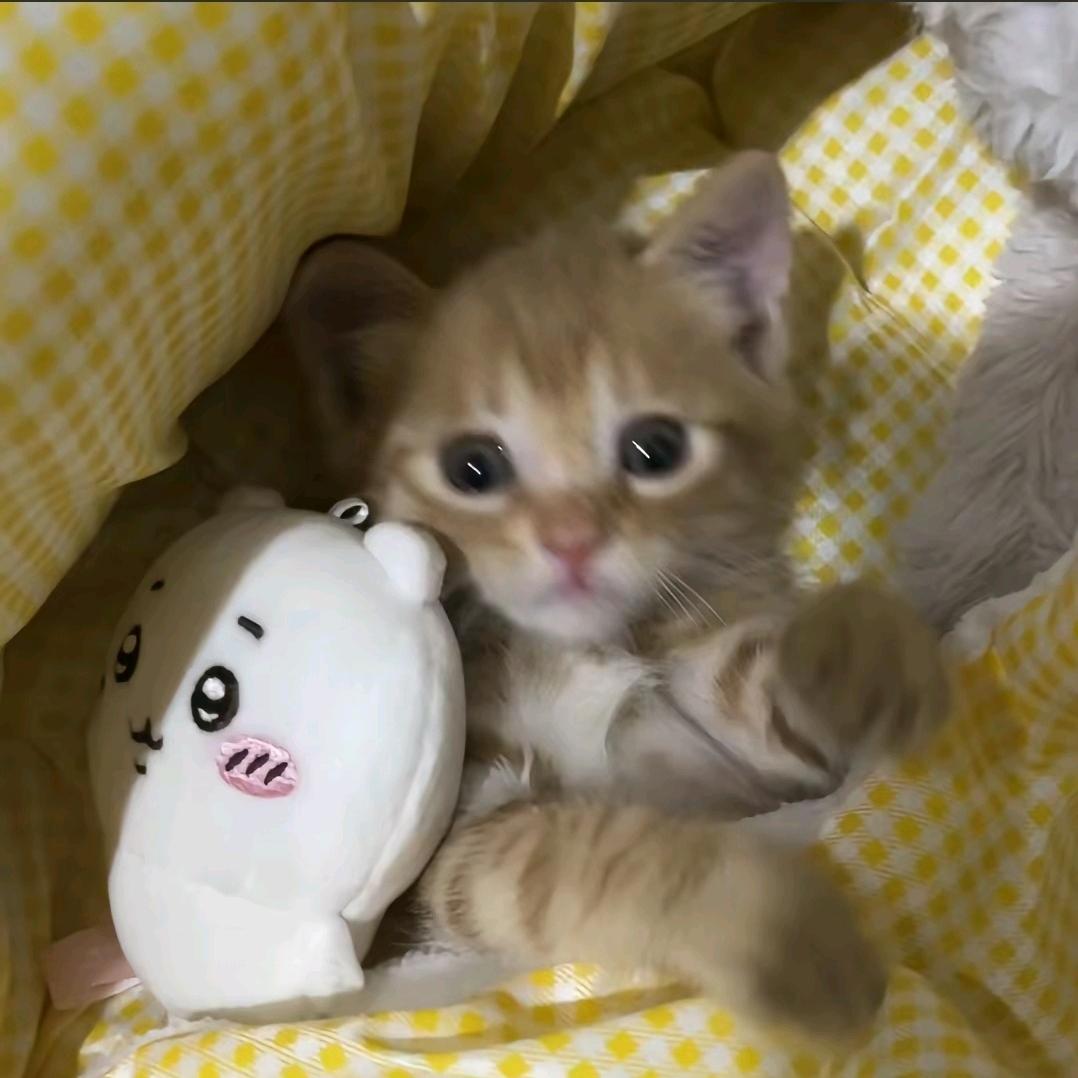 走遠_