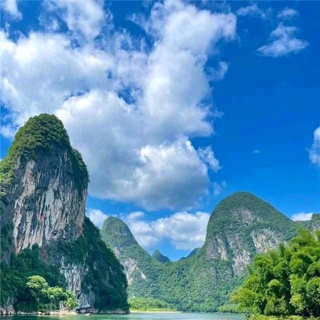 无喂的爱