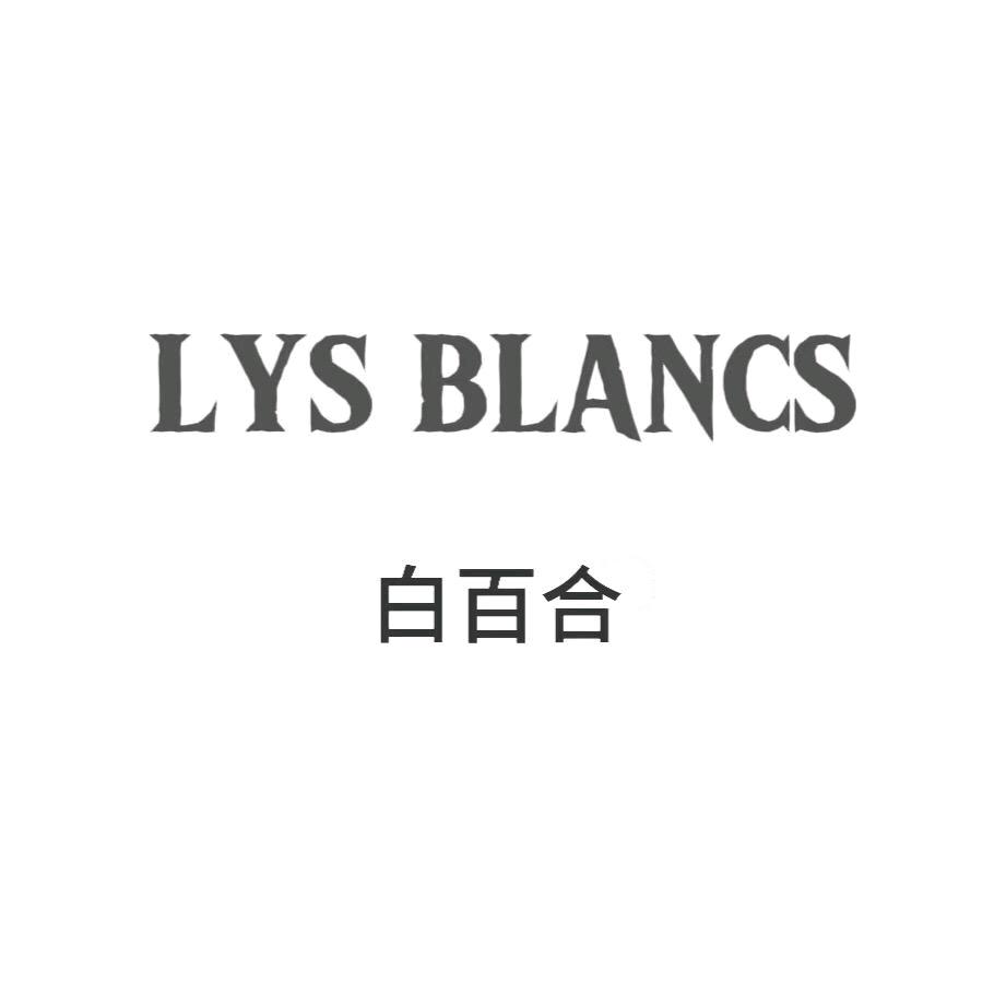 LYS 白百合女装