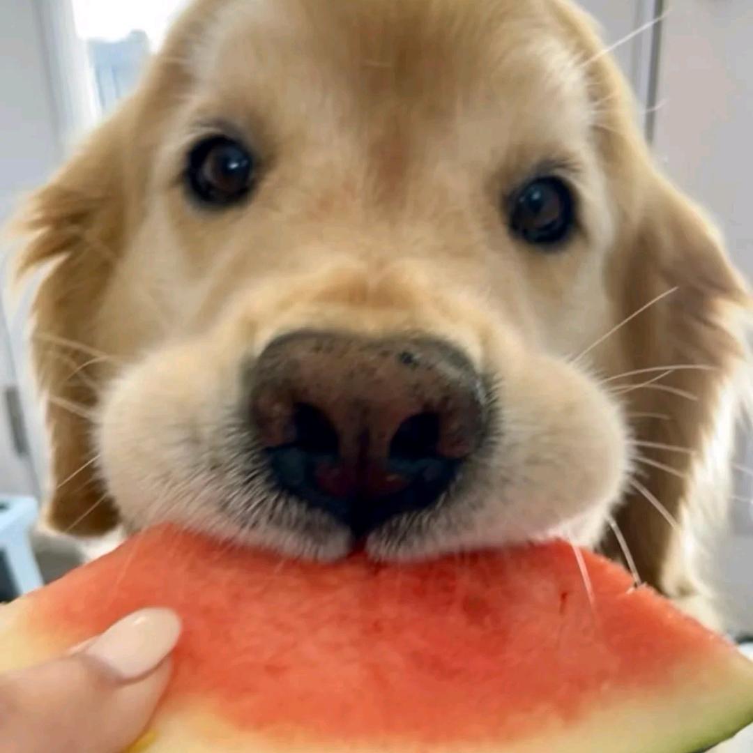 小优的大码衣橱(135斤版)