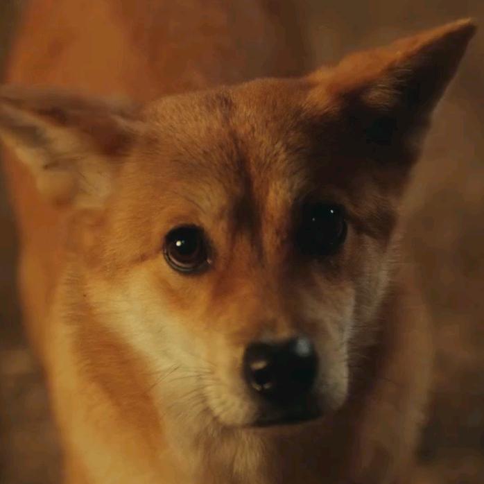 六六好物（商品在橱窗）