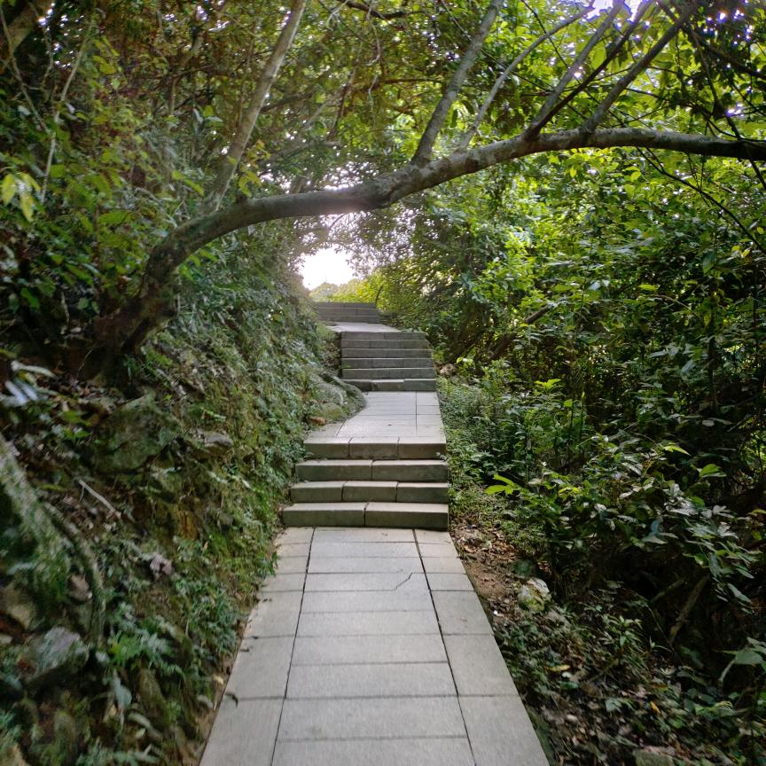《山水有相逢》🌿👉👉