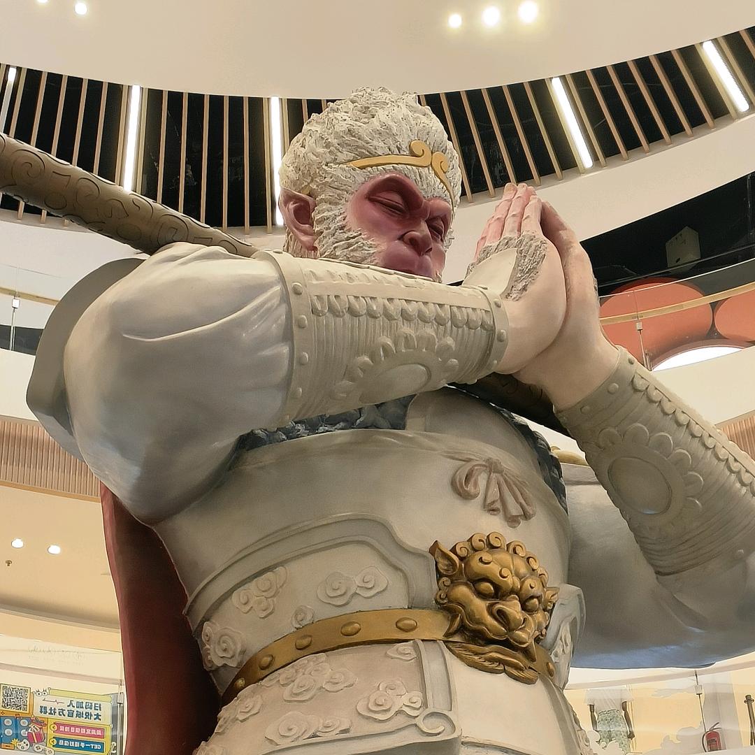 森林哥逛成都