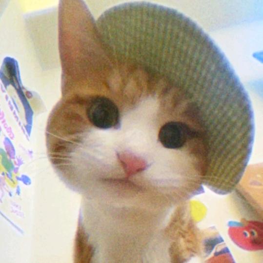 归寻