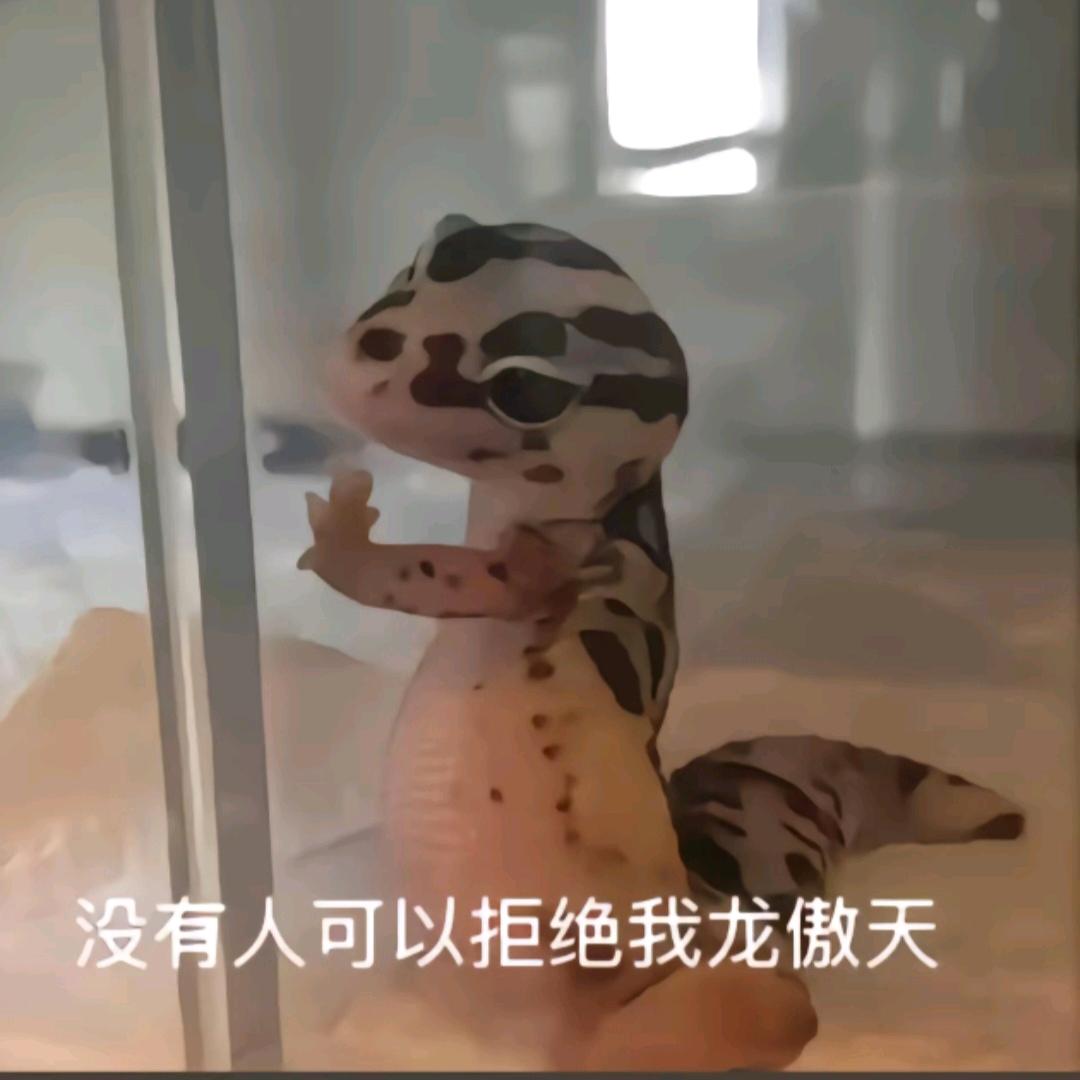 我是龙傲天
