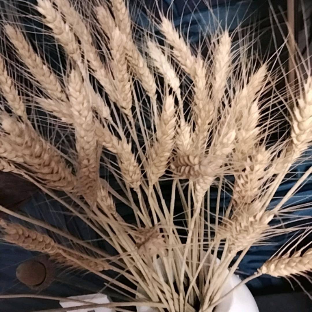 特与好百货