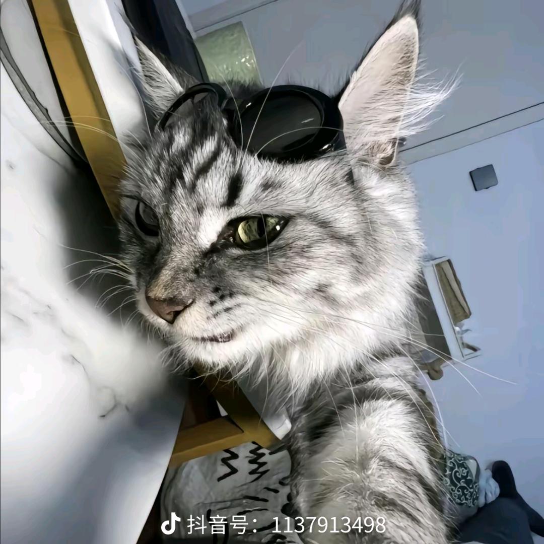 不够铁