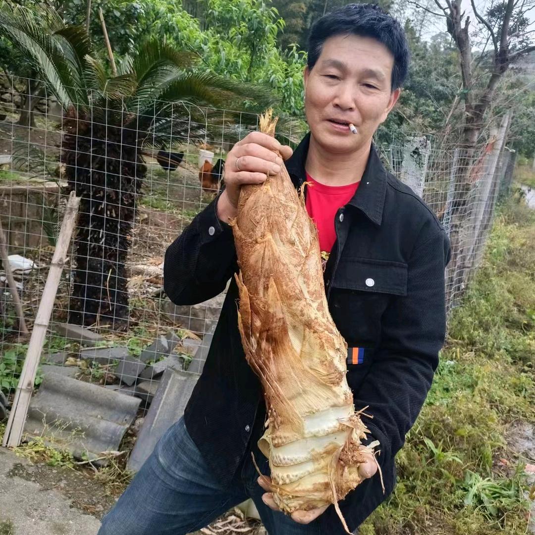 郑士其