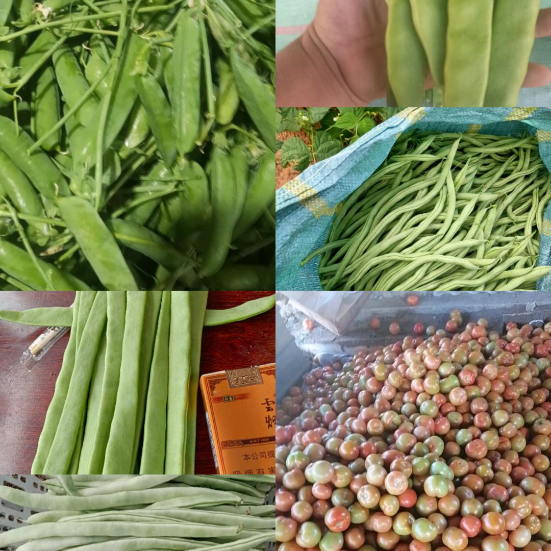 AAA云南保山水果蔬菜代办阿文