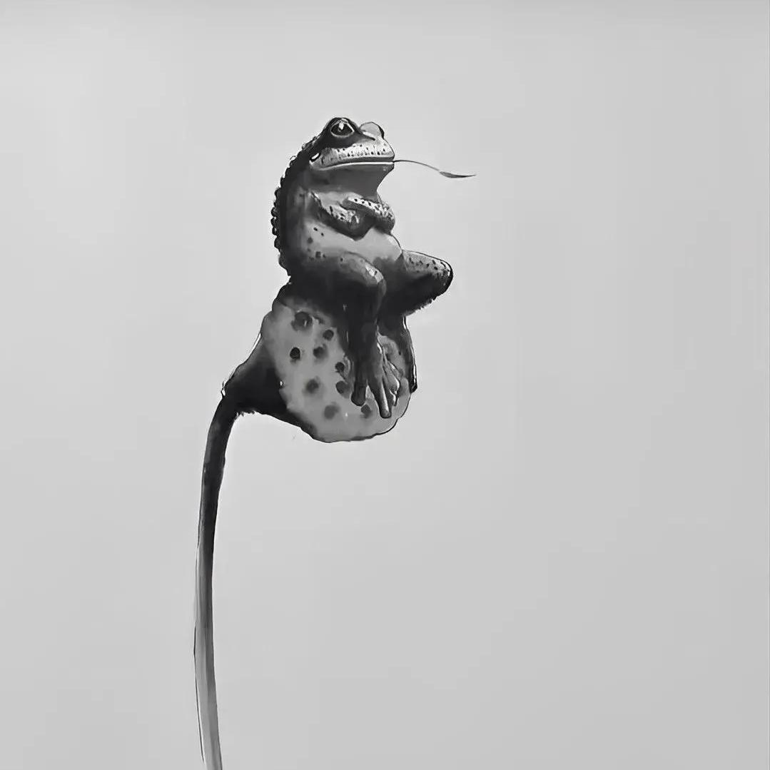 魚恋海