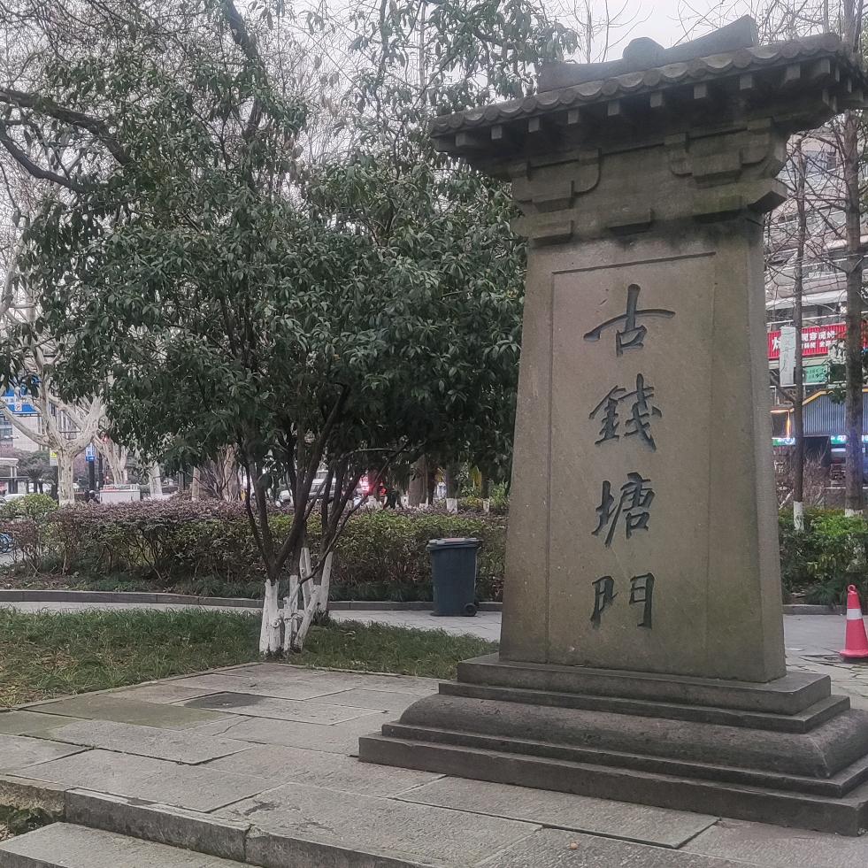 杨老师资产规划