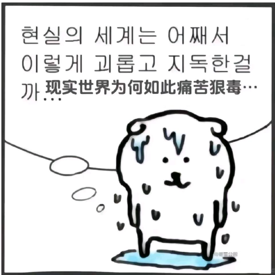 次元₍˄·͈༝·͈˄*₎◞ ̑̑