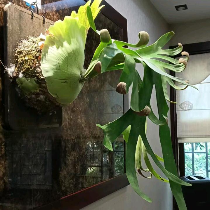 细品岁月