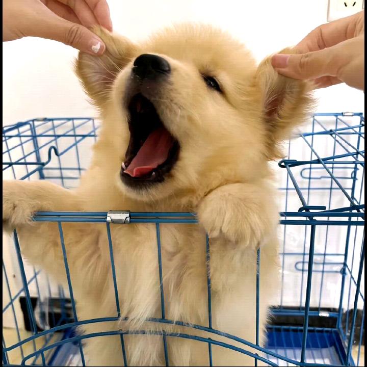 猜哈我是哪个
