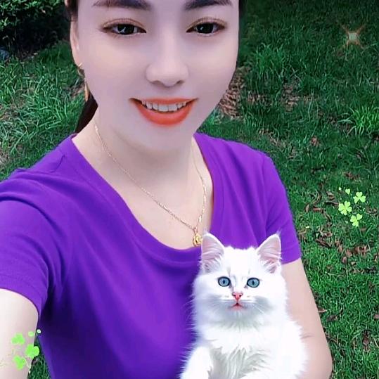 琴找真爱