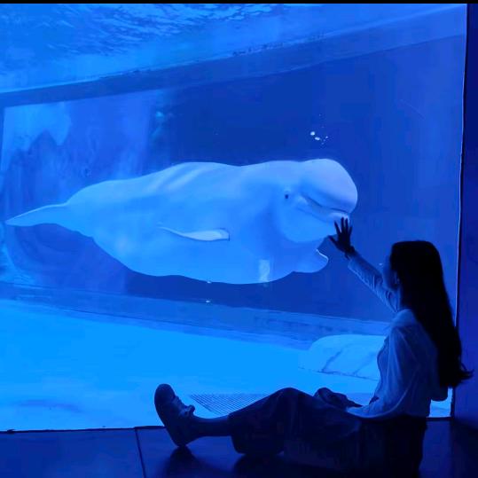 我是你得不到的老男人