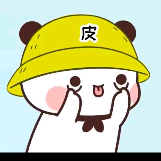 范皮皮