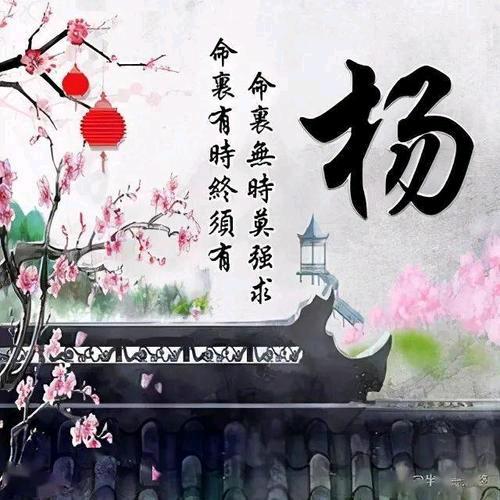 帅性张扬