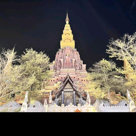往后余生