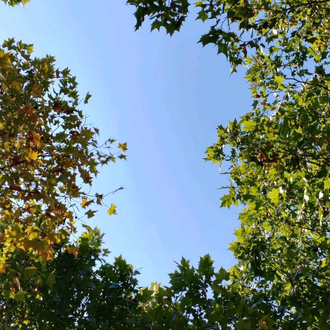 带着婆婆来打工