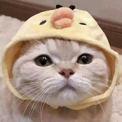 生活无趣
