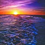 ☀☀好运来☀☀