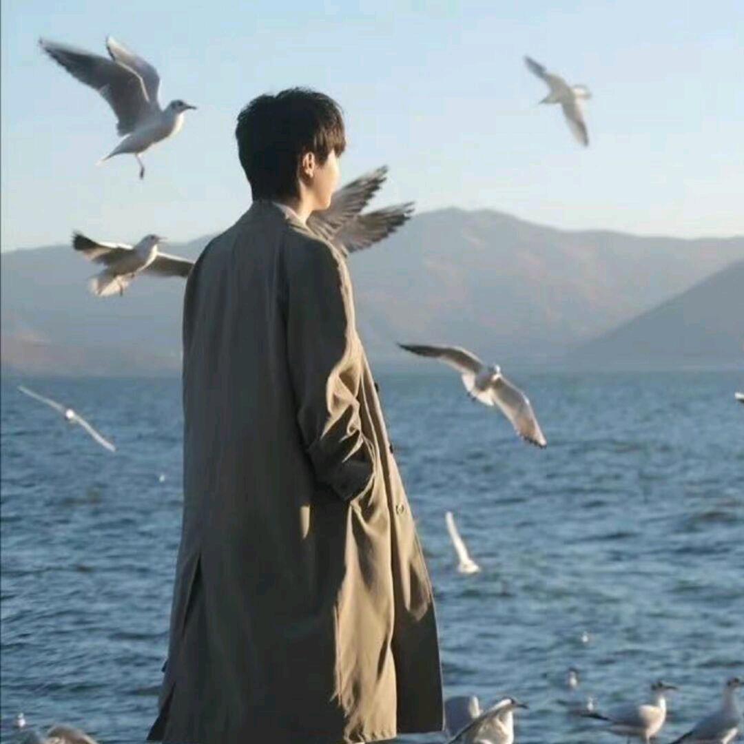 木有