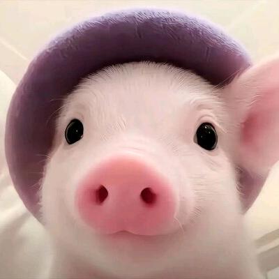 养猪小伙爱唱歌