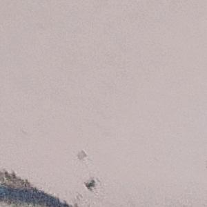 胡景天（一剑粉丝）