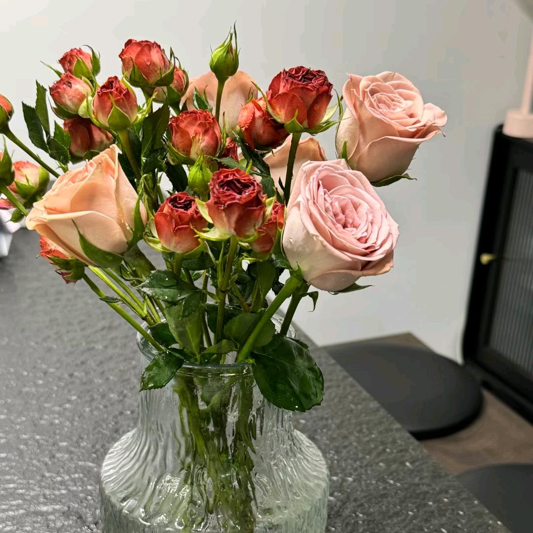 ୧⍤⃝意难平   💋