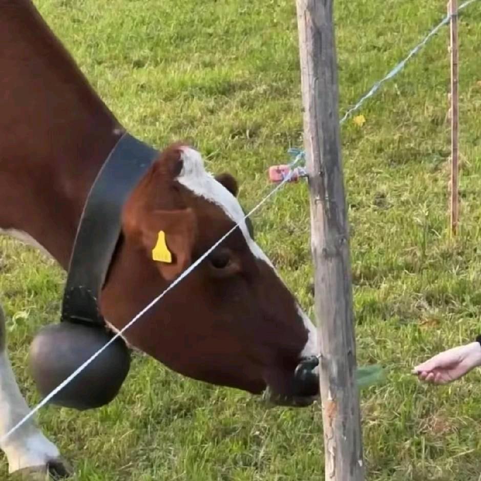 WYH啲丿亅丶跟班