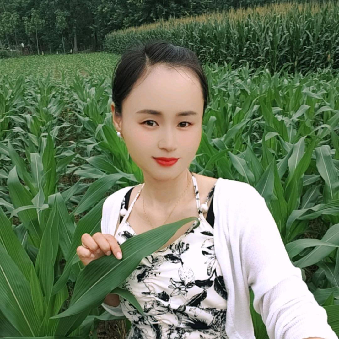 柿如意