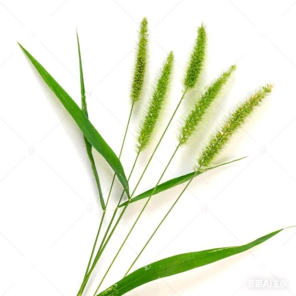 吕好好