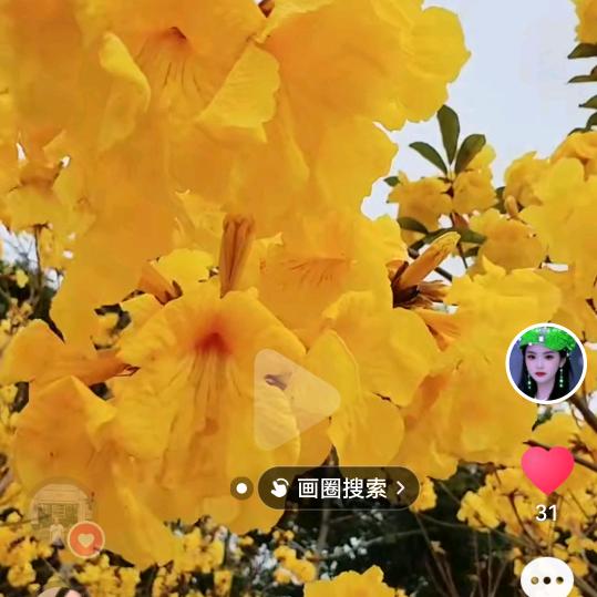 一生问后