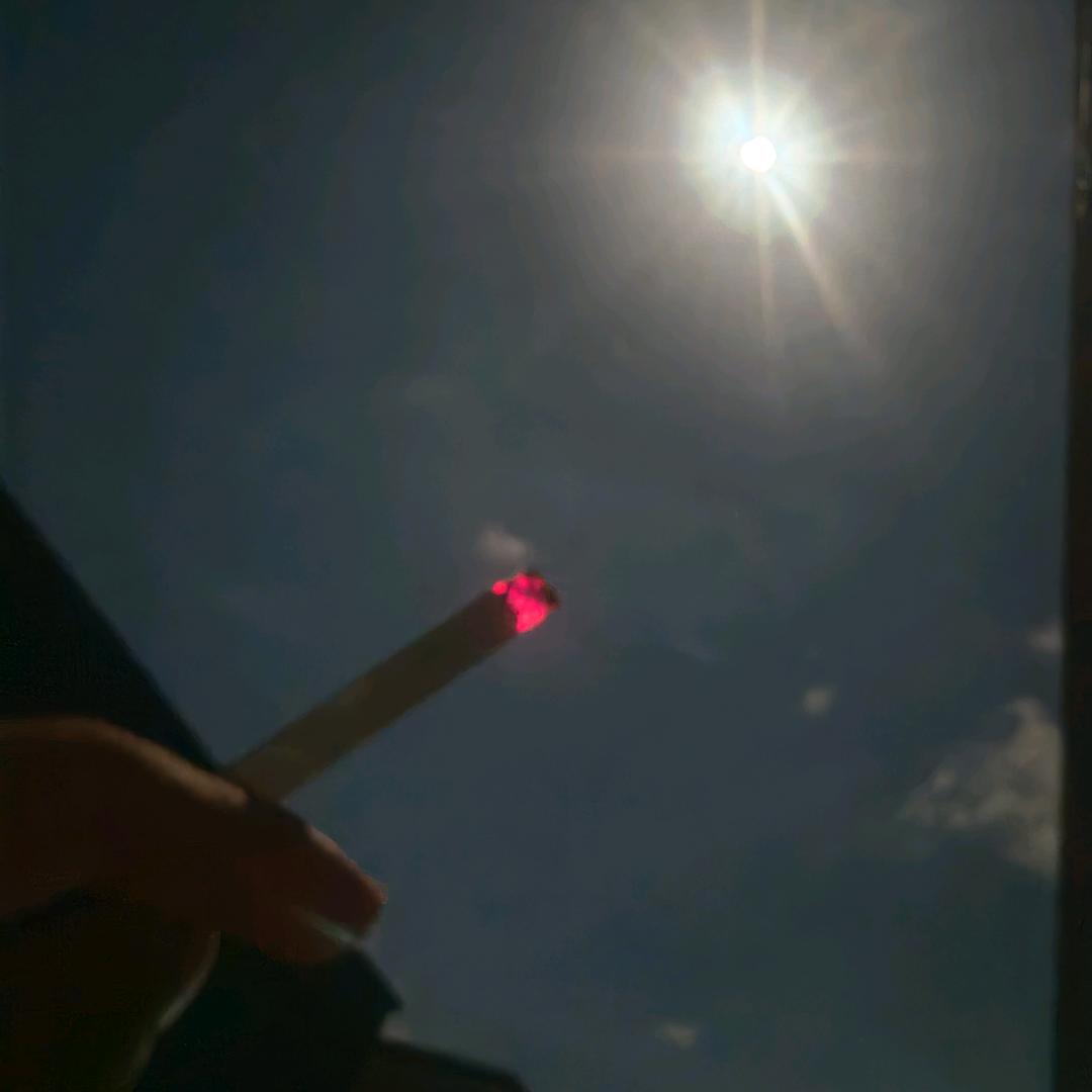 爱莎公主