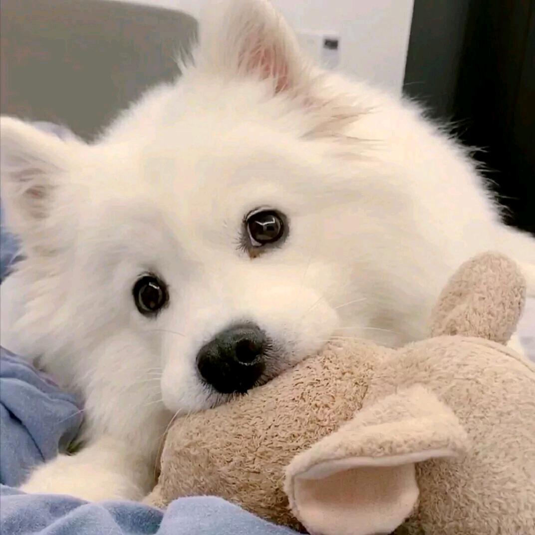 超级无敌大晴天