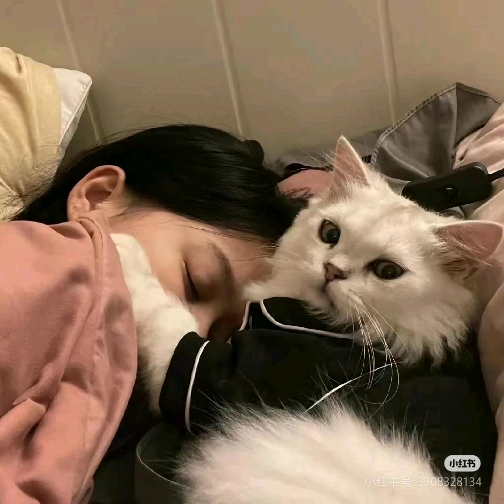 凝安