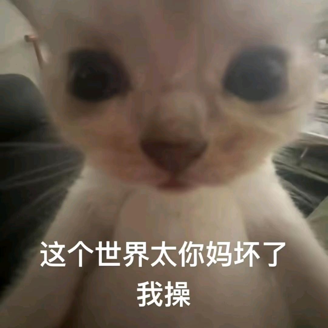 煜