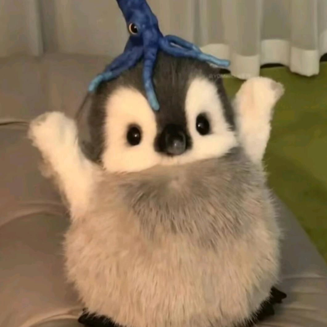 欣