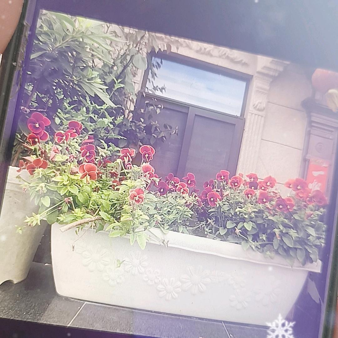 春江月明