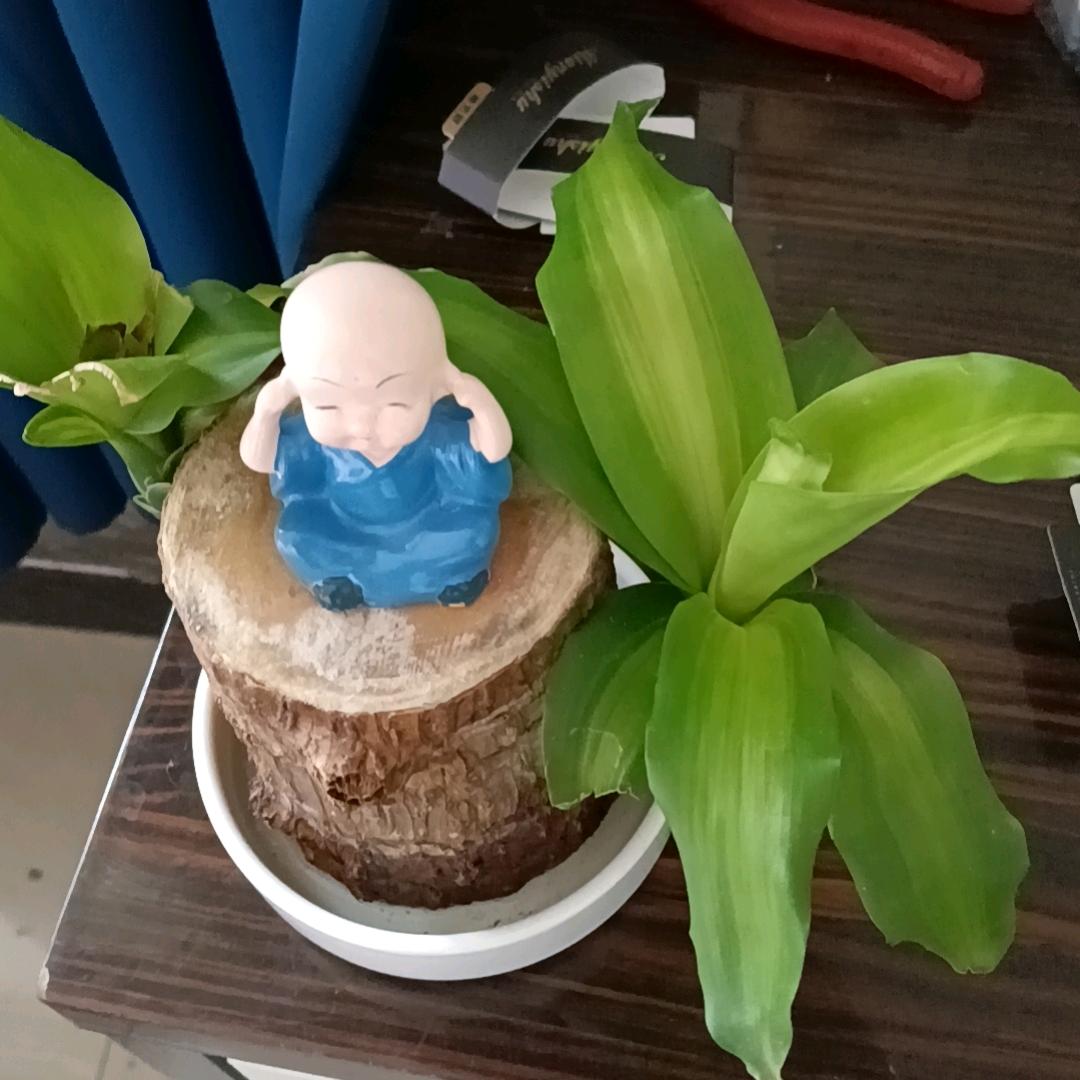 故事情节不美妙