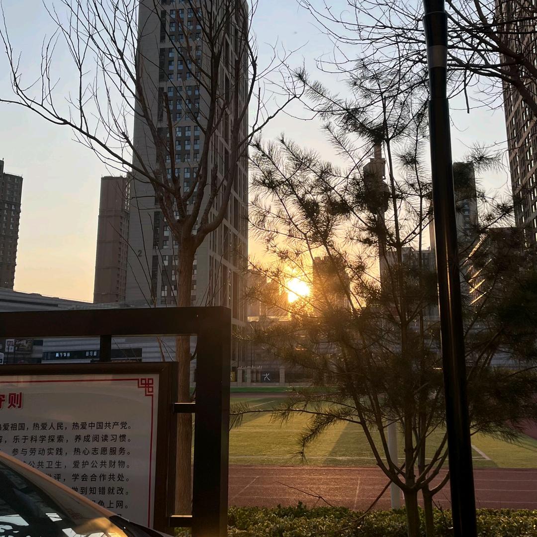 顶峰体育  龙教（常年招生）