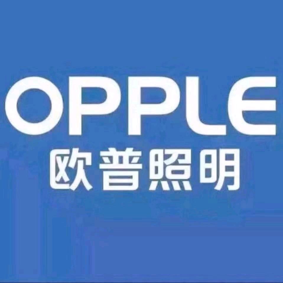 合肥欧普照明(龙岗路店) 慧芳