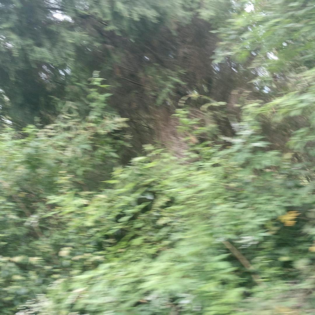 💞余生꧔ꦿ᭄随心ꦿ᭄