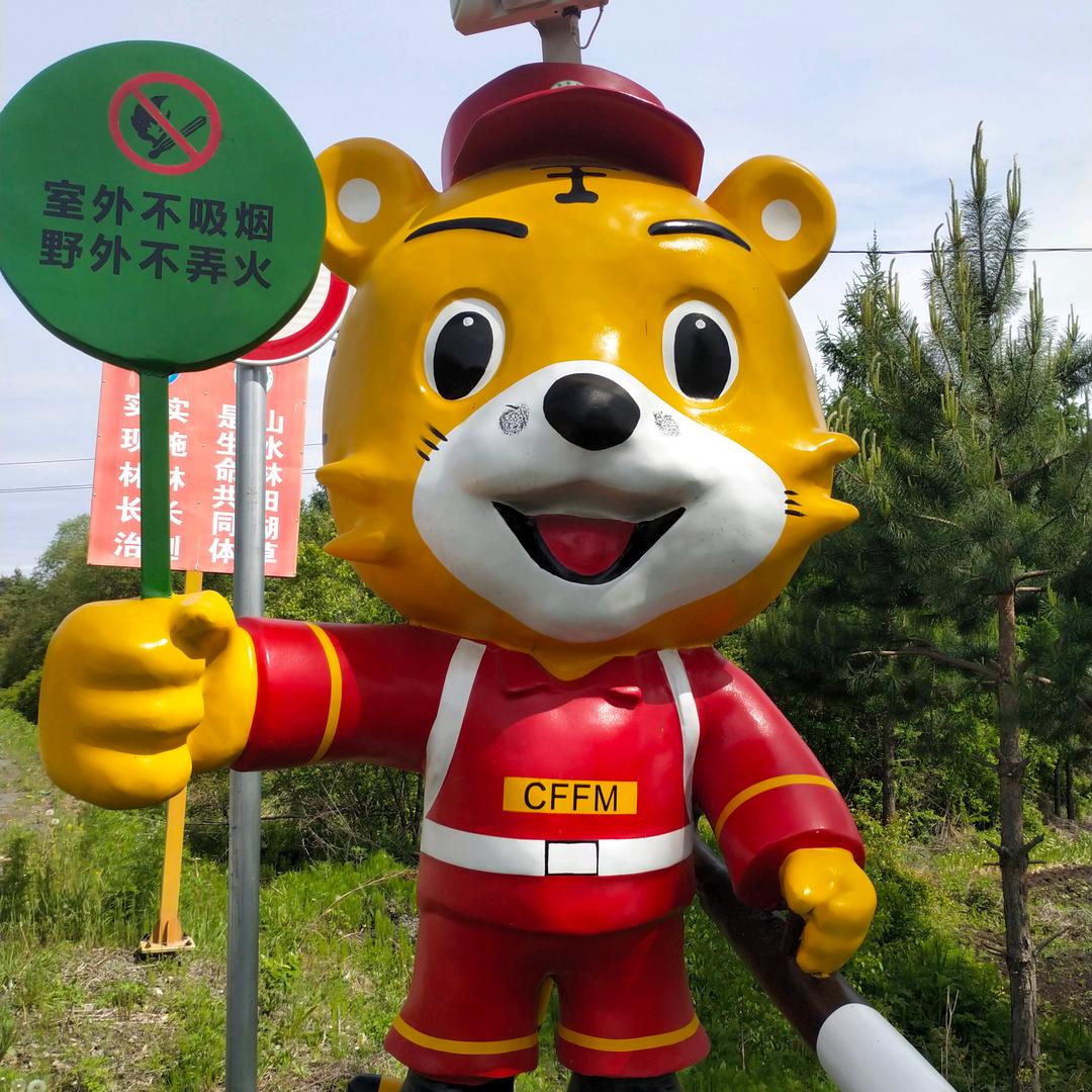 鱼我同行