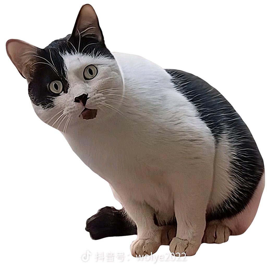 亏欠